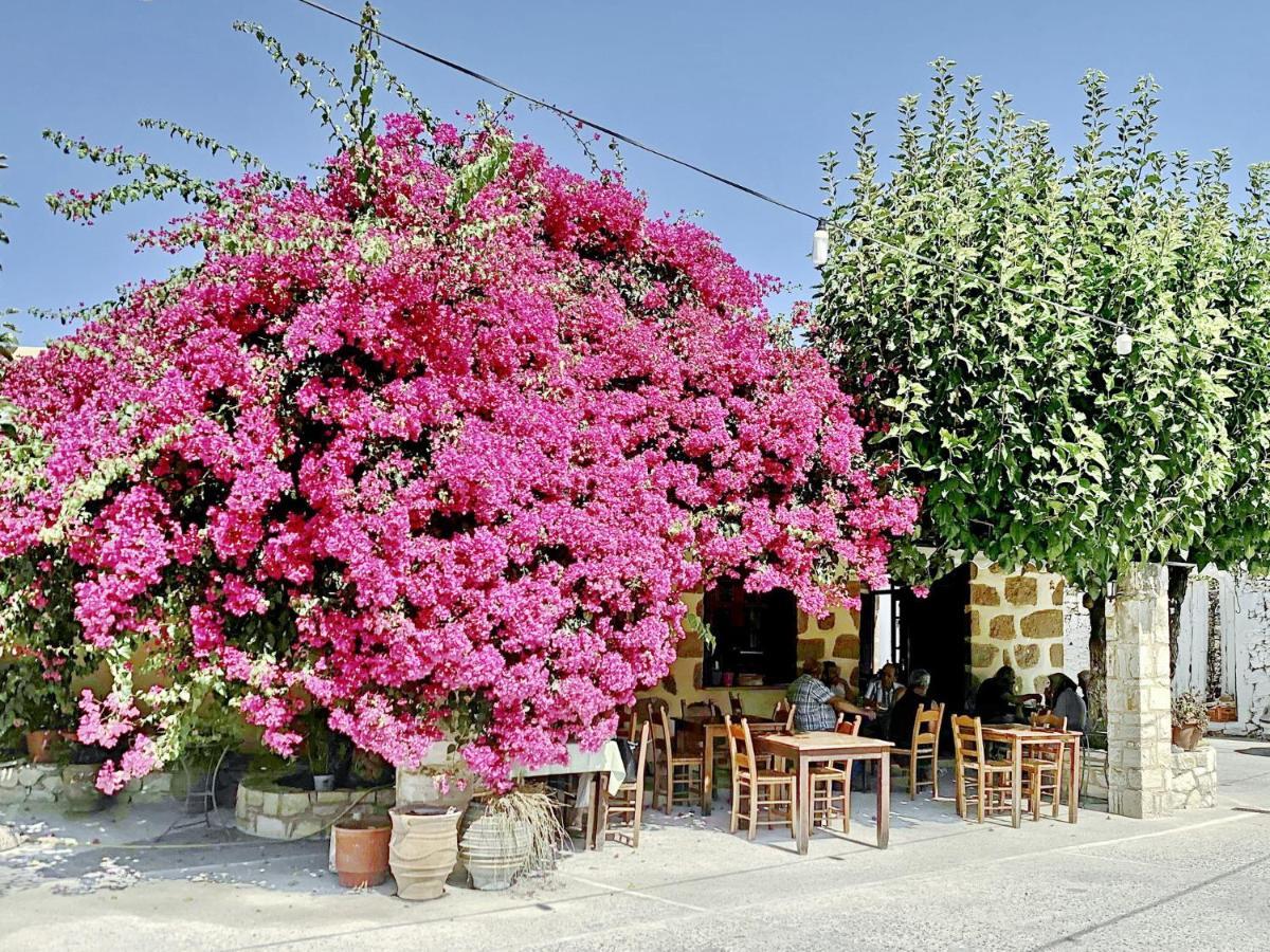 Villa Olivia With Pool Vrises Crete Alikampos Zimmer foto